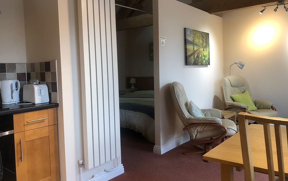 Studio with a kitchenette, two reclining armchairs and a bed visible through an opening