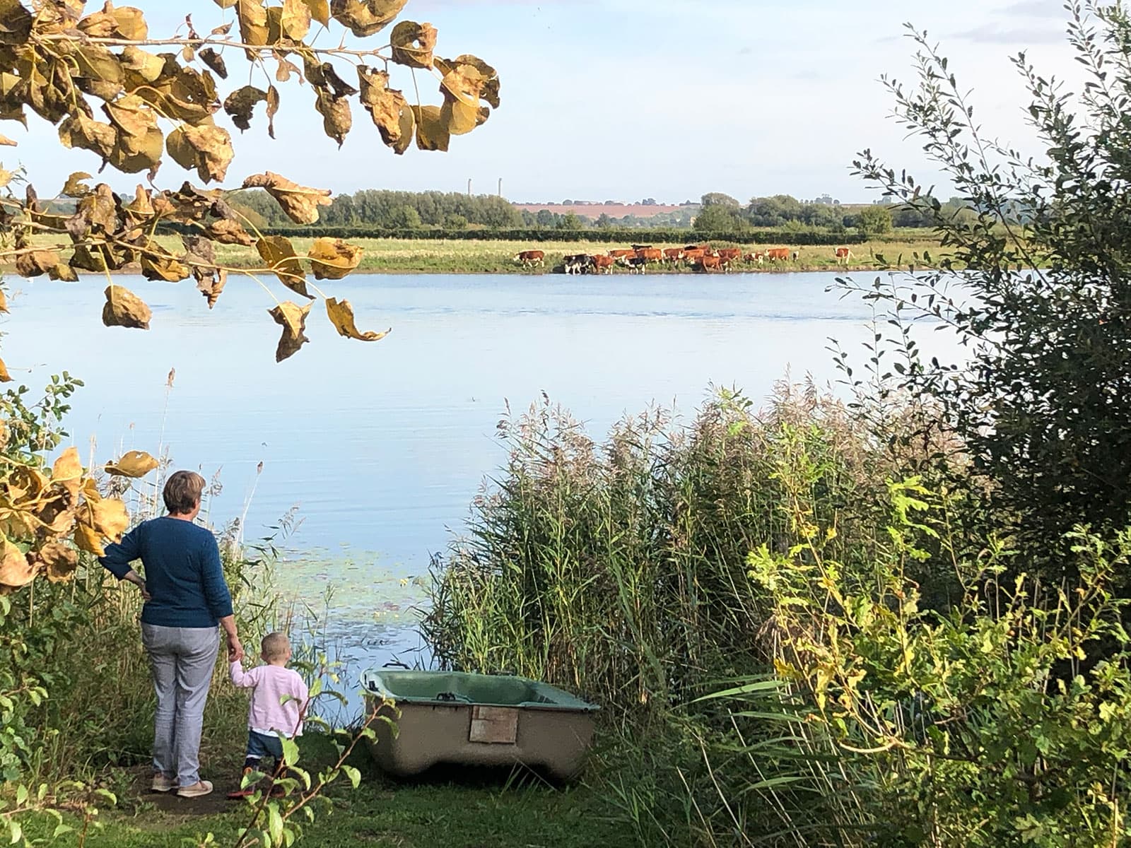 Adult and small child at the edge of a lake beside a small boat, with cattle in the water on the far bank