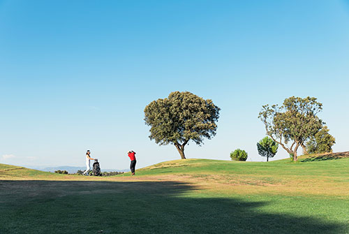 Golfers on a sunny fairway with trees on the skyline